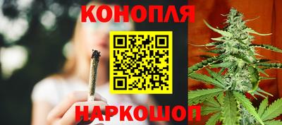 сатива Рязань