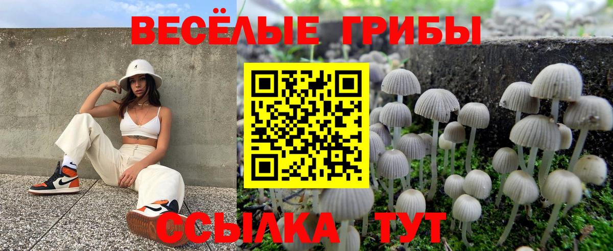 Галлюциногенные грибы GOLDEN TEACHER Нягань